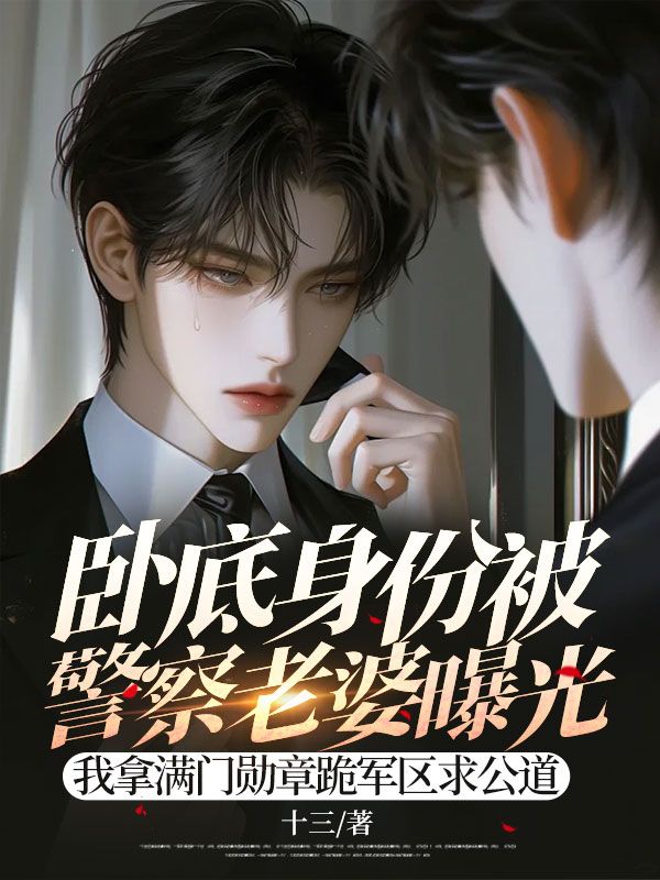 卧底身份被警察老婆曝光，我拿满门勋章跪军区求公道顾晨柳闻溪陈肆小说_卧底身份被警察老婆曝光，我拿满门勋章跪军区求公道顾晨柳闻溪陈肆的小说免费阅读